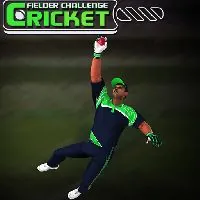 Cricket Fielder Challenge Game - unblocked games 77